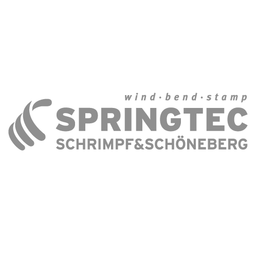 Logo Springtec Group