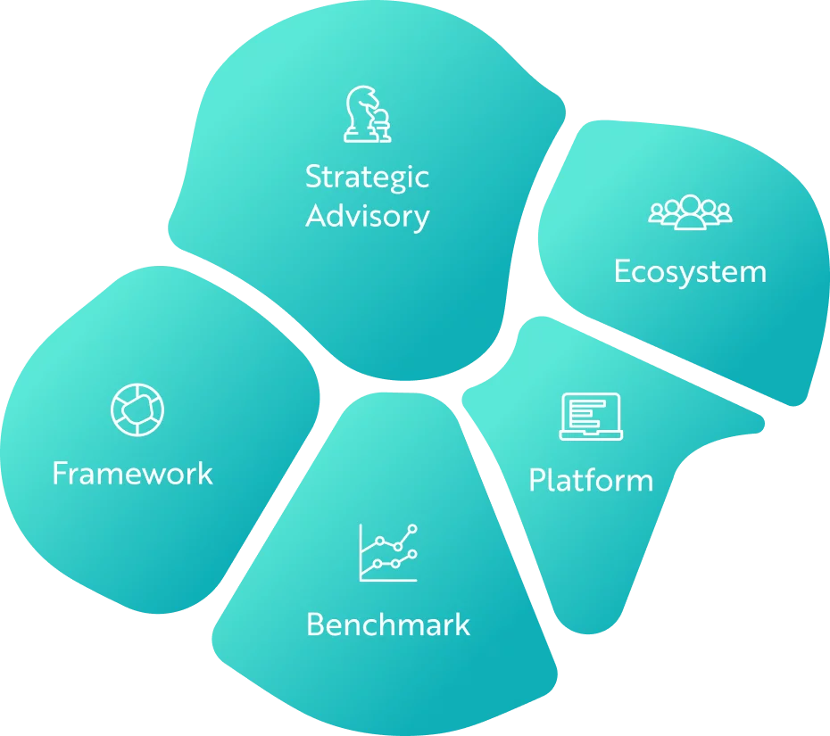 Sustainability Transformation Management